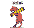 Gallus